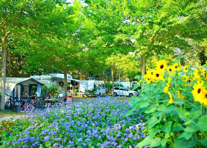 Campsite Pra' Delle Torri Village